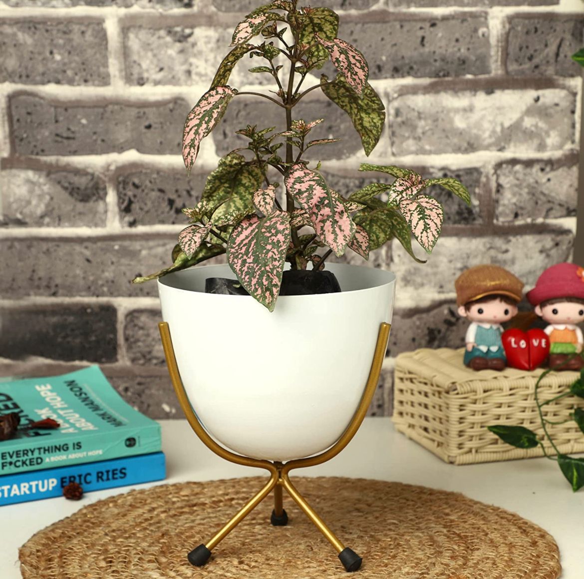 White egg pot for indoor decor
