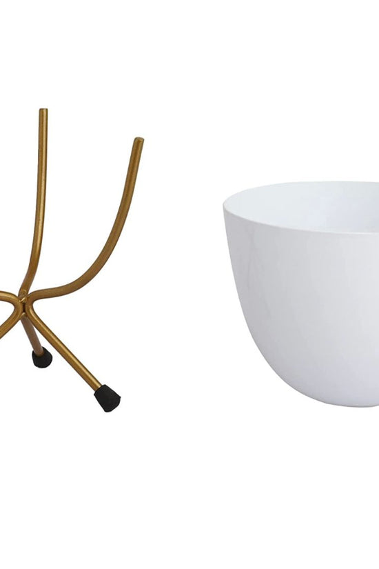 White egg pot for indoor decor
