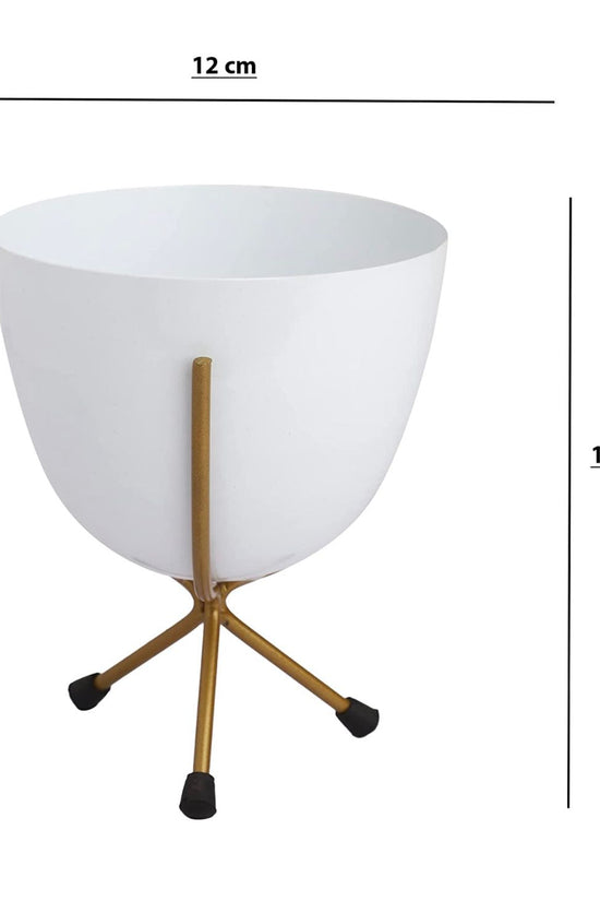 White egg pot for indoor decor
