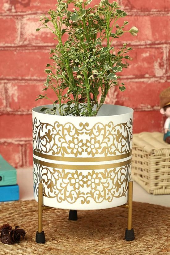 white and gold plant pot White Pot with Golden Motif – Gardengram