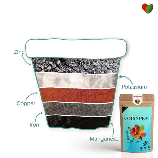 Neem-enriched cocopeat potting mix
