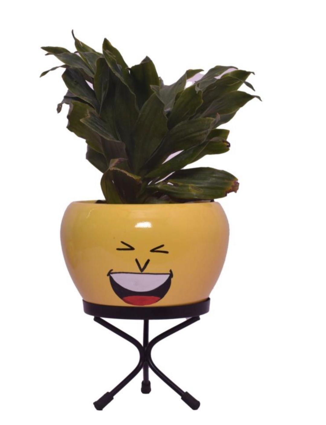 Emoji face planters for kids
