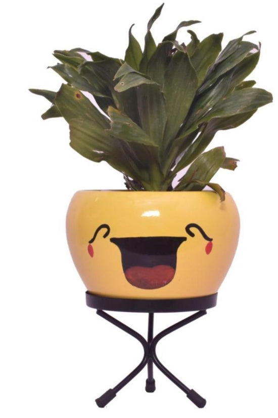 Emoji face planters for kids
