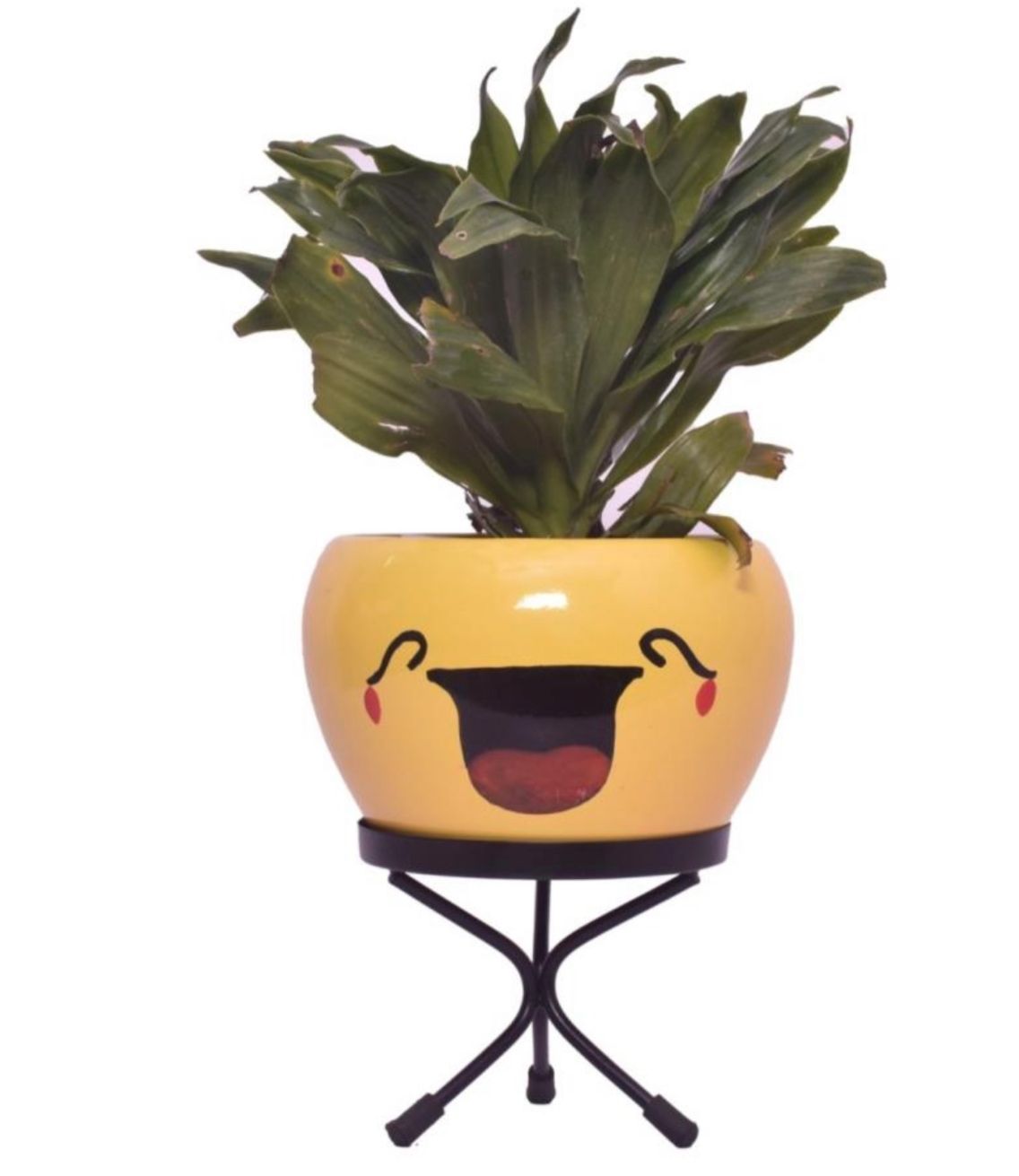 Emoji Planters For Kids Tabletop Planters - Gardengram