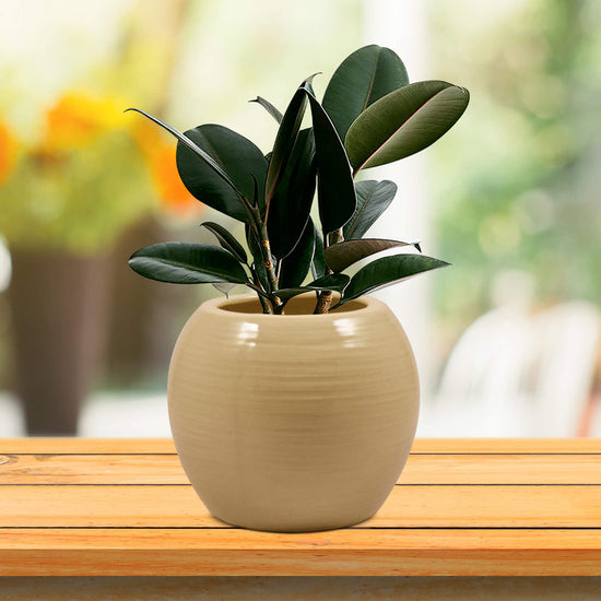 Premium sand finish round ceramic pot
