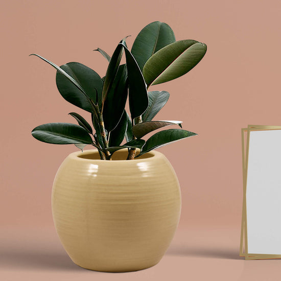 Premium sand finish round ceramic pot
