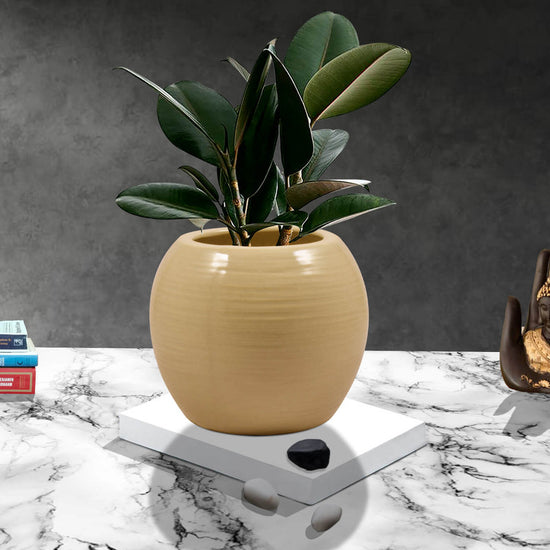 Premium sand finish round ceramic pot
