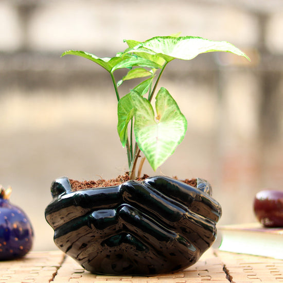Giving Hand black decorative planter
