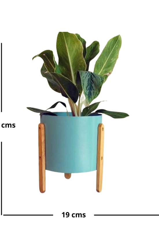 Powder blue metallic planter
