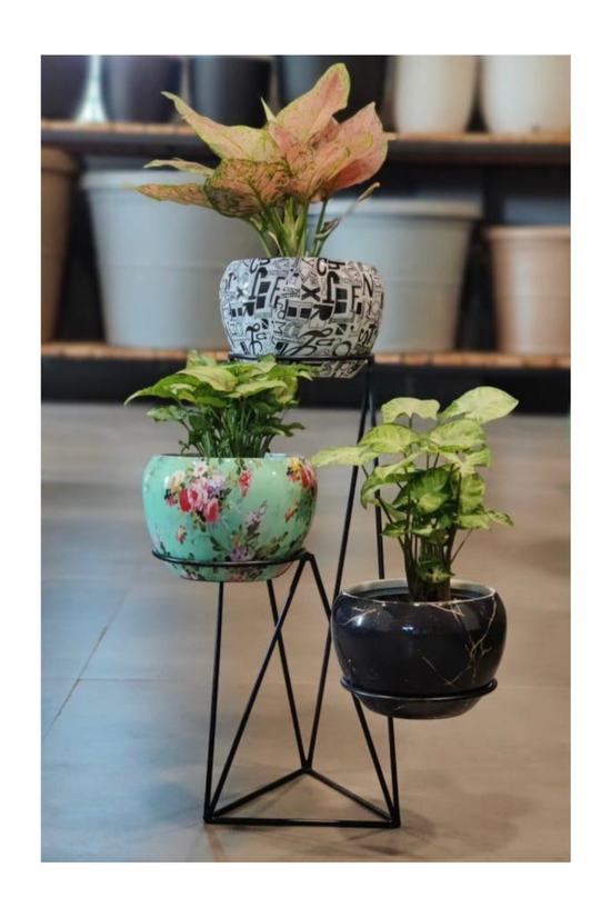 Vertical metal plant stand with pots
