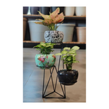 Home decor with Gardening pots and pot stand - Gardengram