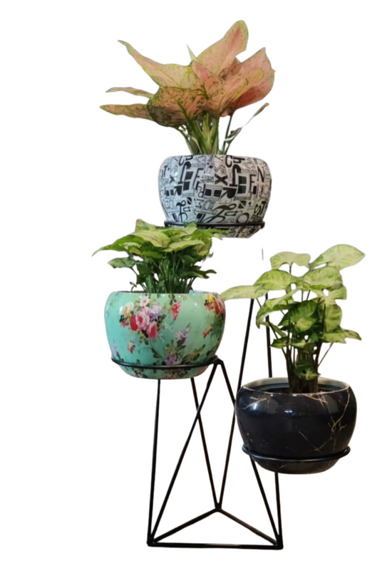 Vertical metal plant stand with pots
