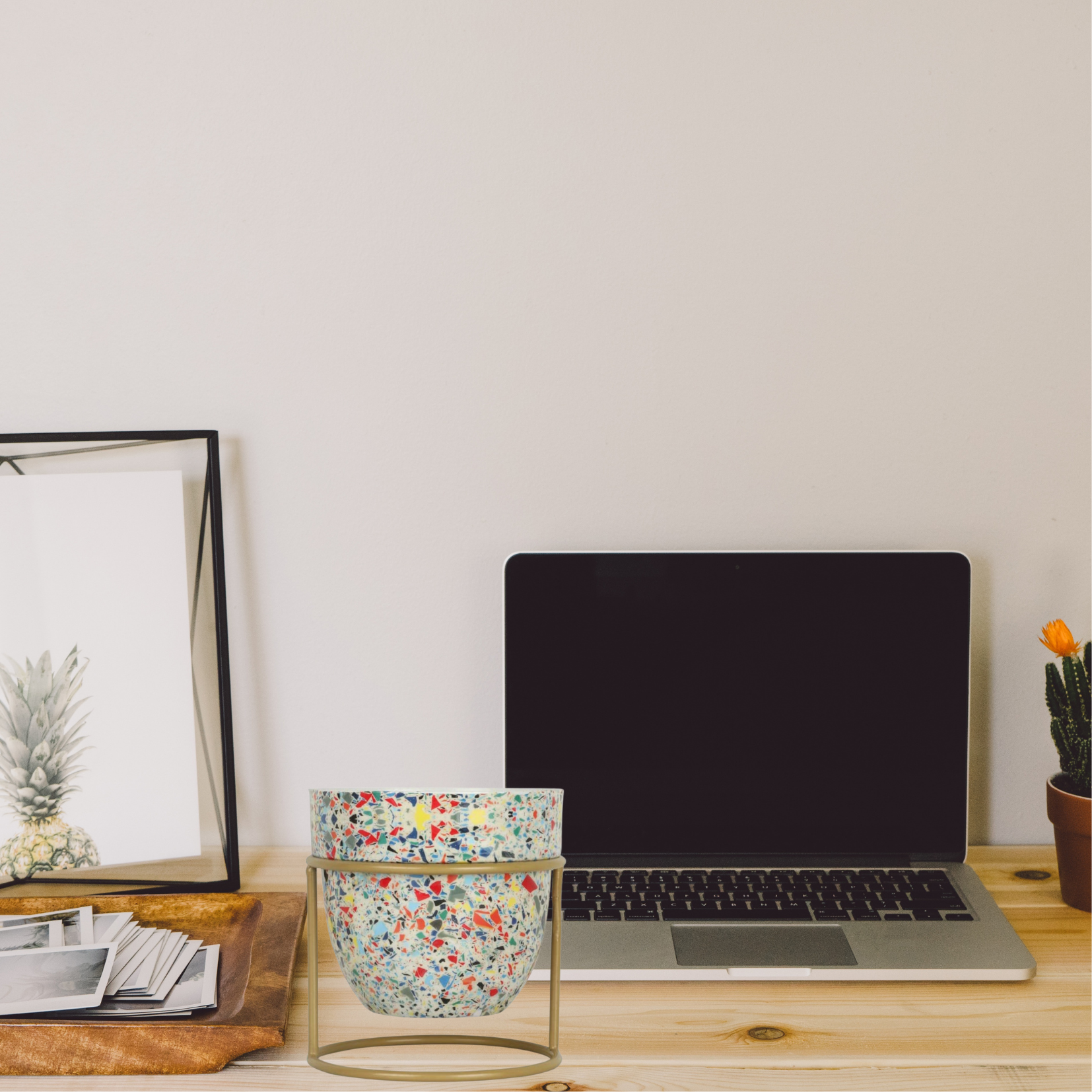 Designer desktop planter
