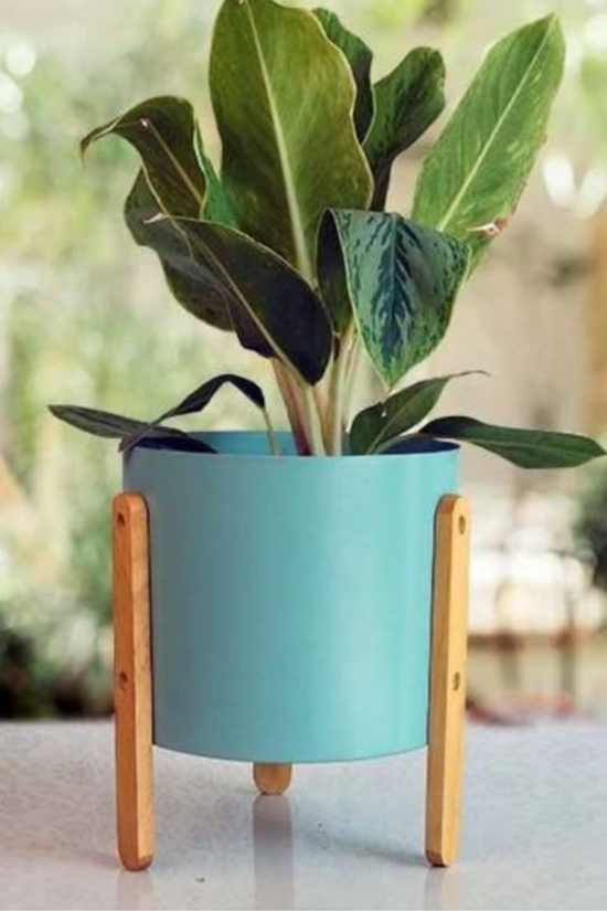 Powder blue metallic planter
