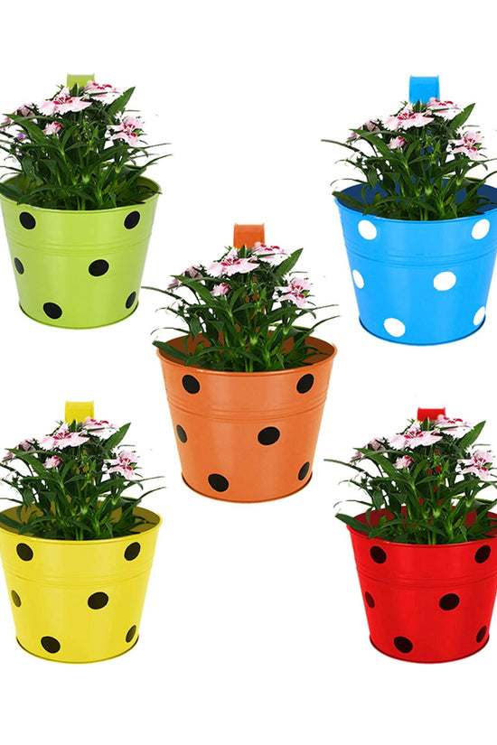 Gardengram Metallic Railing Planters | Hanging Pots | Designer Hanging Planters
