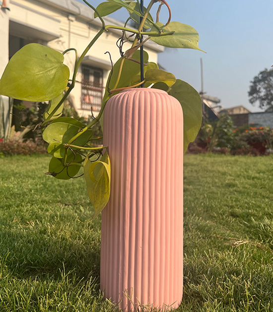 Indoor garden gift for Women’s Day
