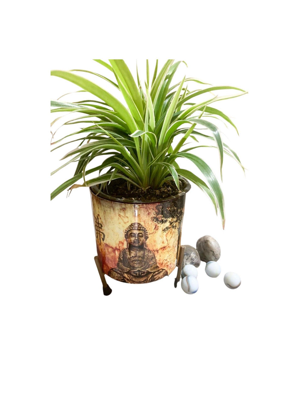 Buddha head planter for garden or indoor use
