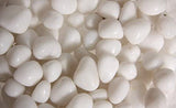 Polished White Pebbles - 500 gms - Gardengram