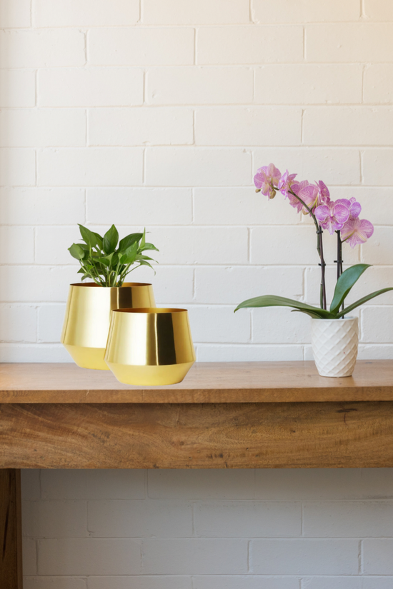 Set of 2 golden metal pots
