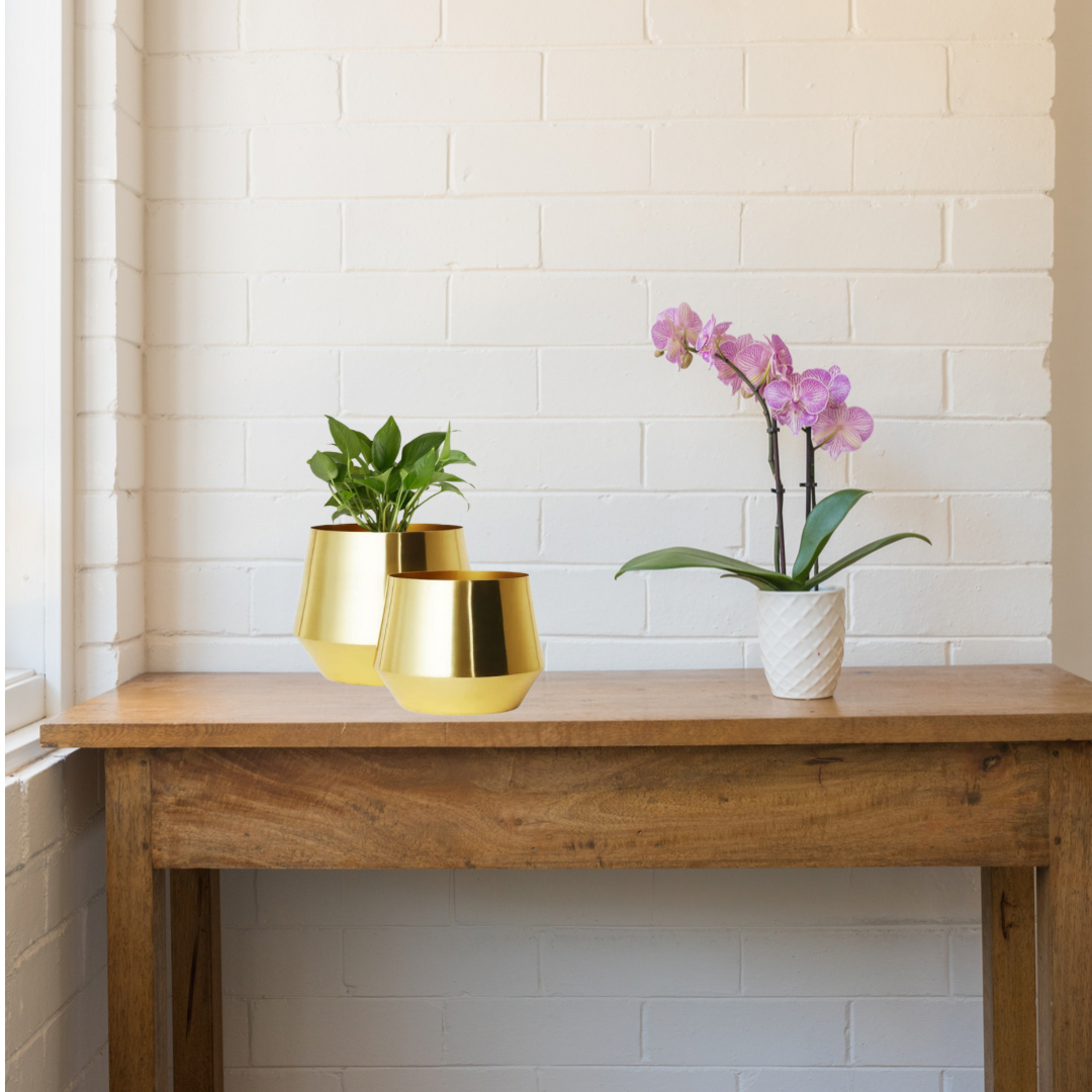 Set of 2 golden metal pots
