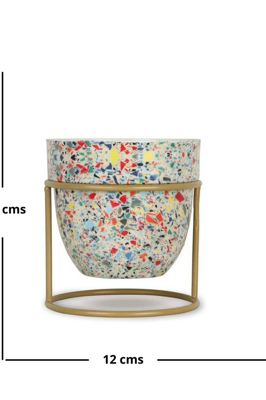 Designer desktop planter
