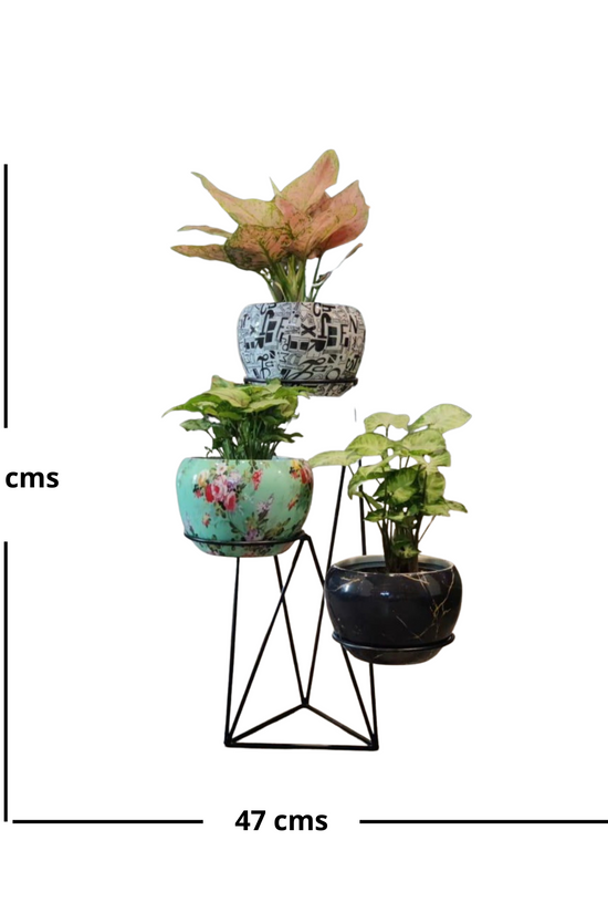 Vertical metal plant stand with pots

