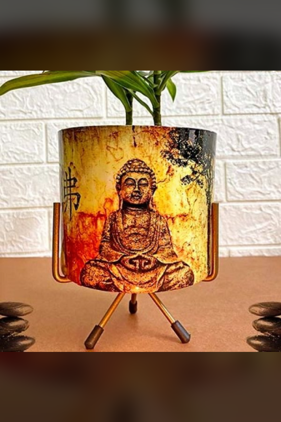 Buddha head planter for garden or indoor use
