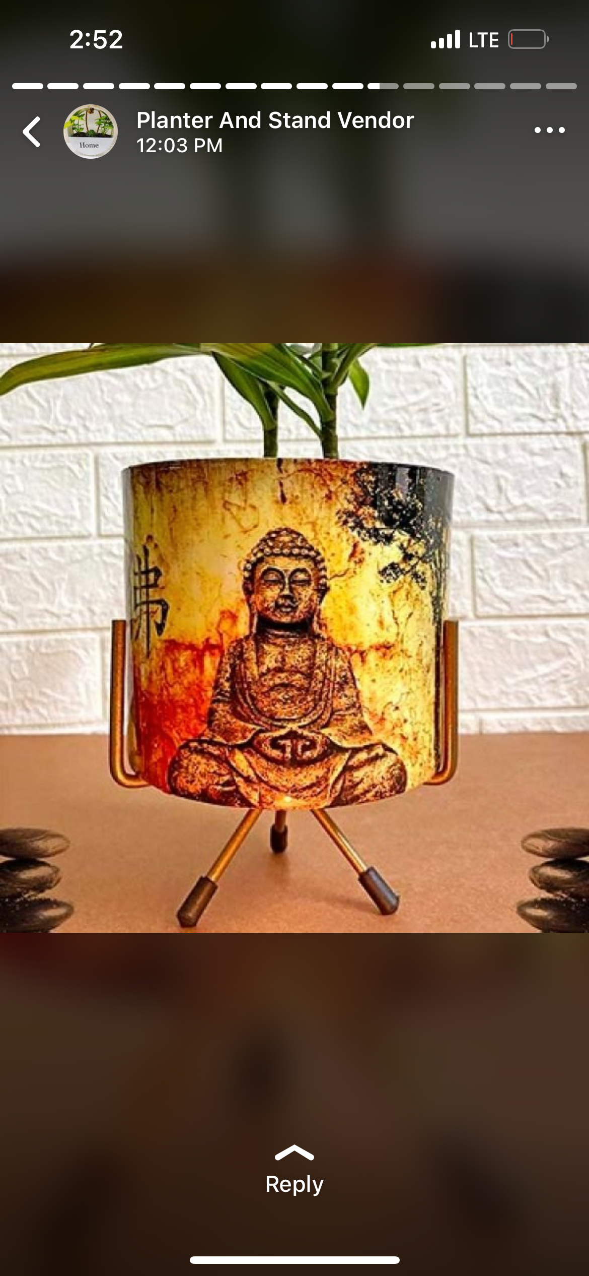 Buddha head planter for garden or indoor use
