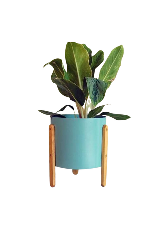 Powder blue metallic planter
