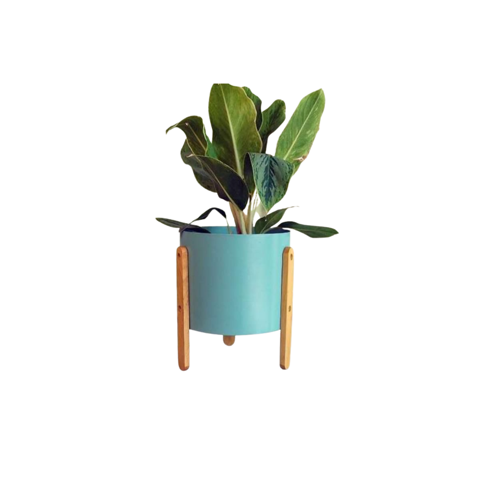 Powder blue metallic planter
