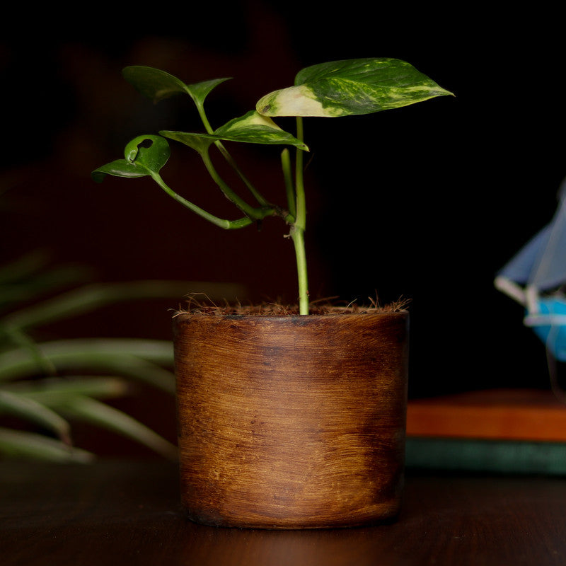 Antique ceramic pot - brown
