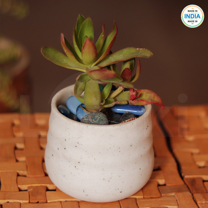 White gift-friendly ceramic plant pot
