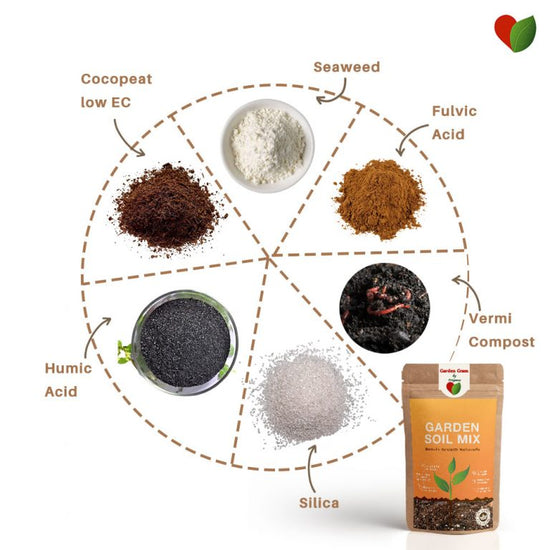 Garden soil mix – organic and nutrient-rich
