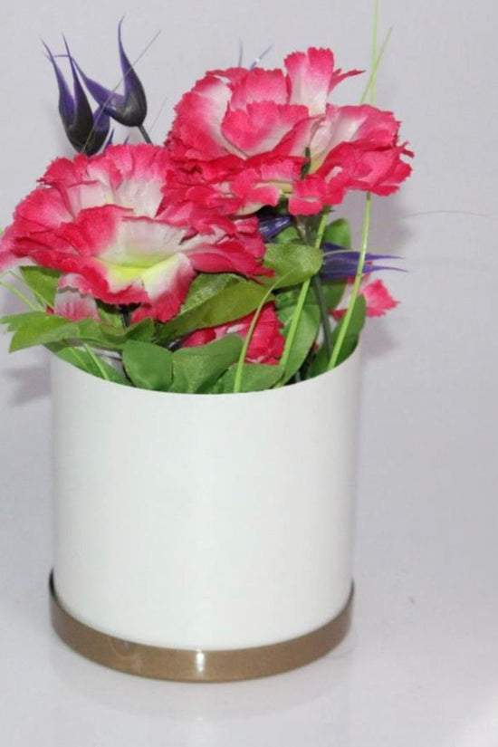 Indoor table plant pots for gifts
