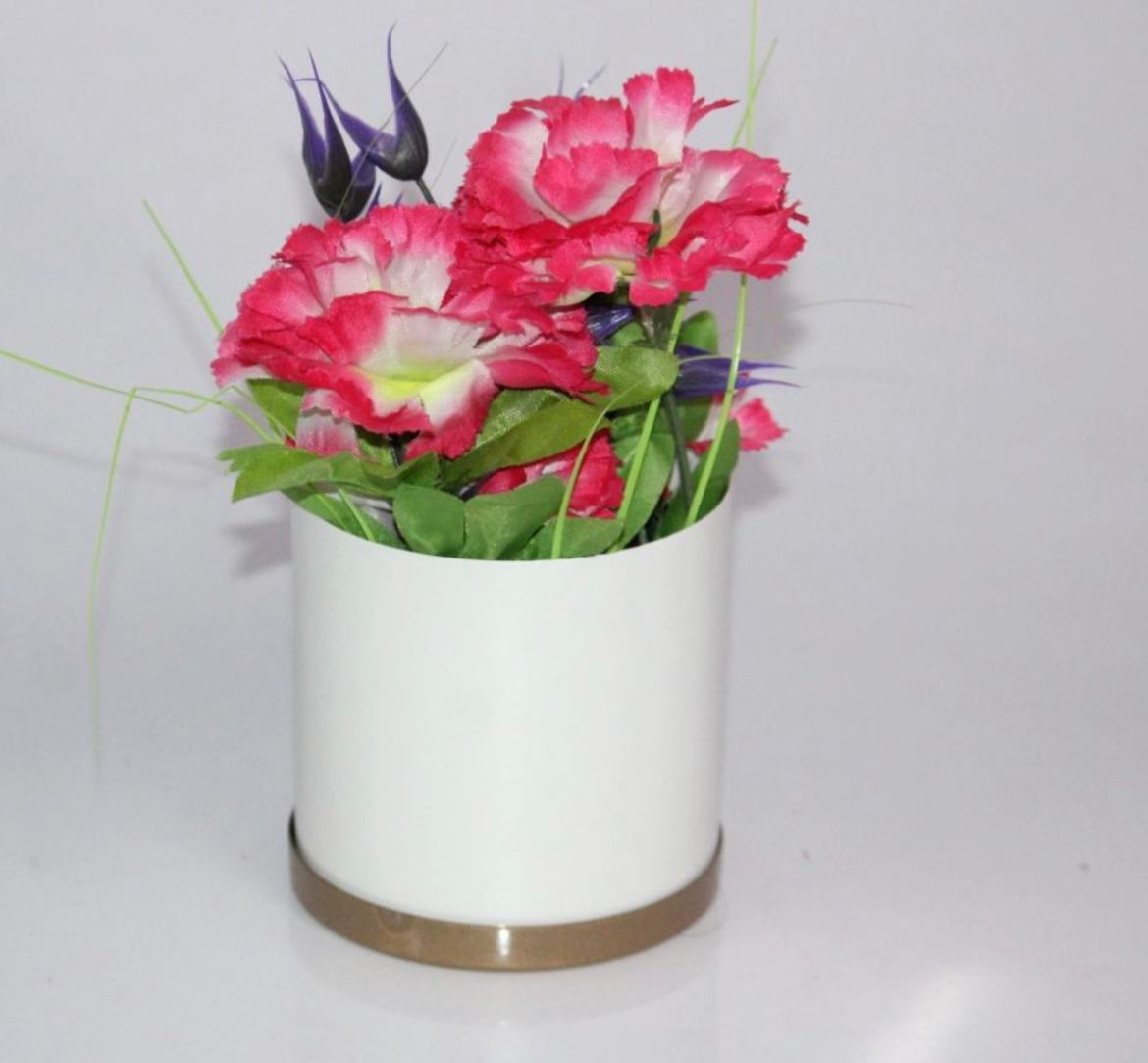 Indoor table plant pots for gifts
