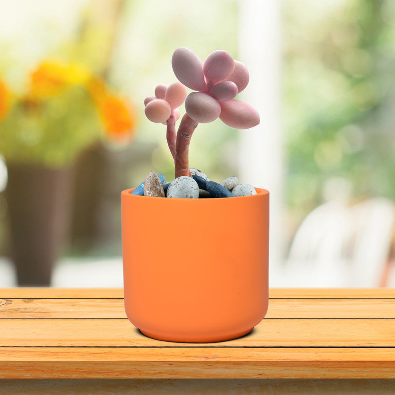 Zeno ceramic planter - lily shape
